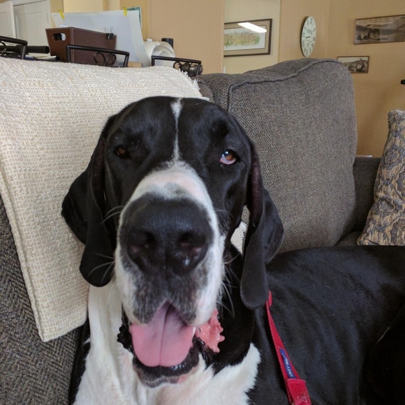 Meet your Posher, Jerree - Picture 1 of 1